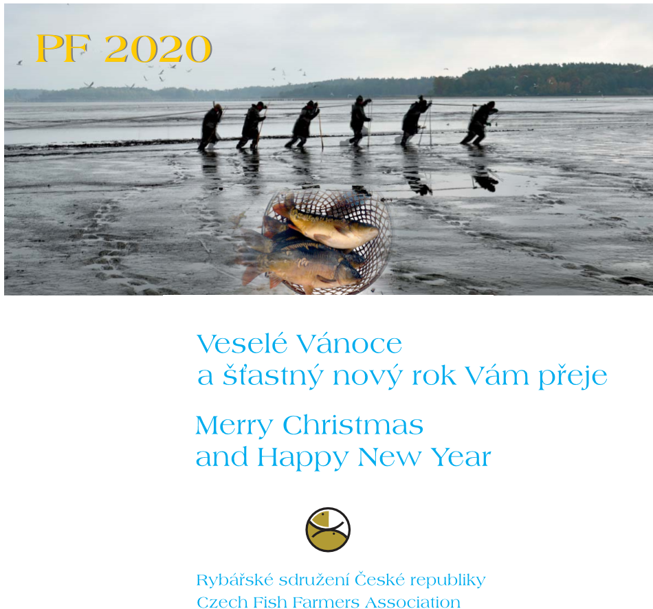 PF 2020